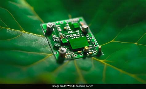 who invented wearable plant sensors